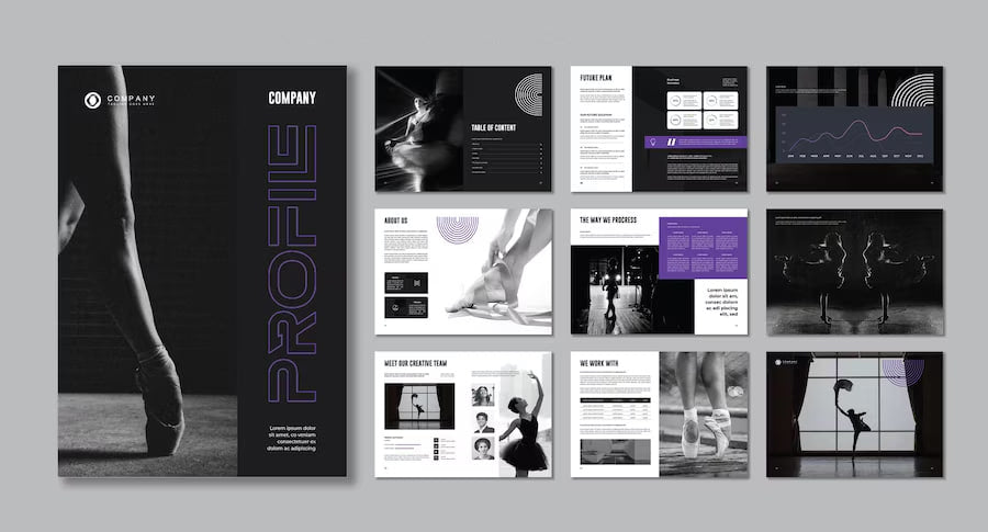 Company Profiles